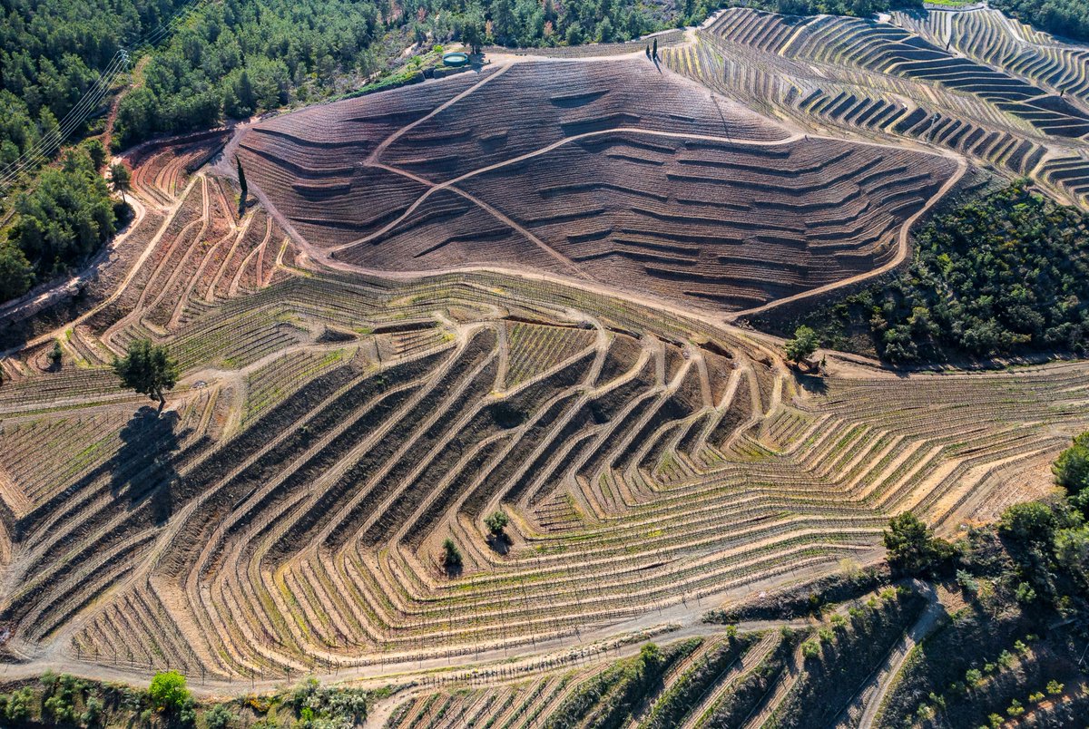 Forestry England tweet media