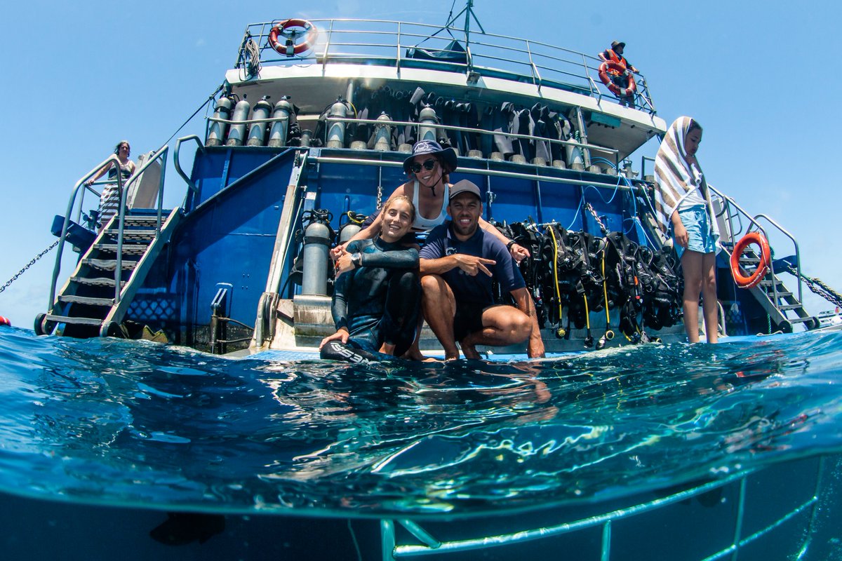 reefexperience's tweet photo. This is the time to go to the Great Barrier Reef the weather is  perfect #greatbarrierrreef #cairnsbestreeftour #scubadiving #snorkelling #cairns 
Book online  https://t.co/ZmfPX9RCIp https://t.co/4Ht8DSE7I8
