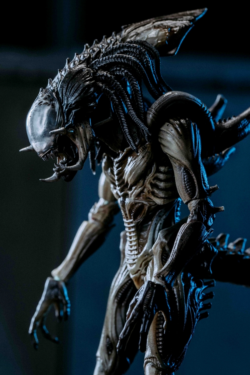映画『AVP2 エイリアンズ vs プレデター』からプレデリアンが