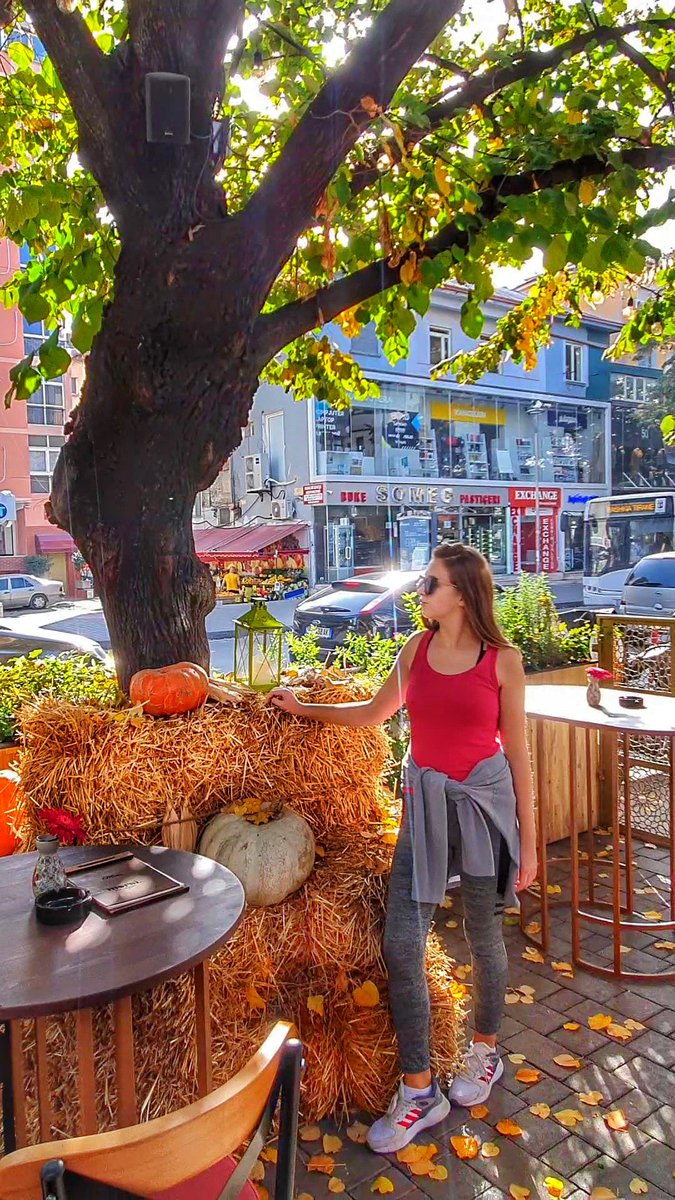 HappinesCoaches's tweet photo. Welcome sweet November, the season of senses and my favorite month of all.
#november #autumn #fall #love  #october #photography #autumnvibes #instagood  #photooftheday #winter #happy #picoftheday #december #september #art #halloween #travel #fashion  #sunset #life #bhfyp https://t.co/zjsITAZeRF