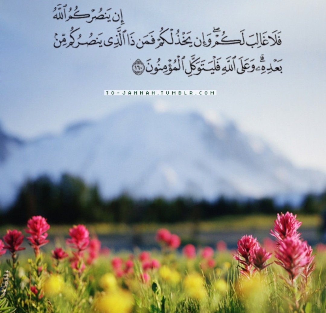 Wafa TAJ (@wafaalzadjali) on Twitter photo 