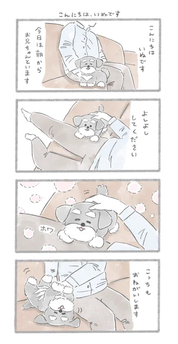 ずっと自分を見てほしいおいぬ
#こんにちはいぬです 