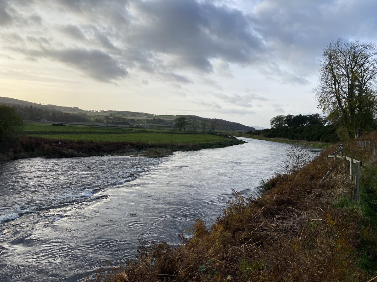 AberdeenAngling's tweet photo. A fine close season walk along part of our Lower Fintray beat on the #RiverDon yesterday. The big, clear water should get the fish to where they need to be. https://t.co/H8oNZTOhG9