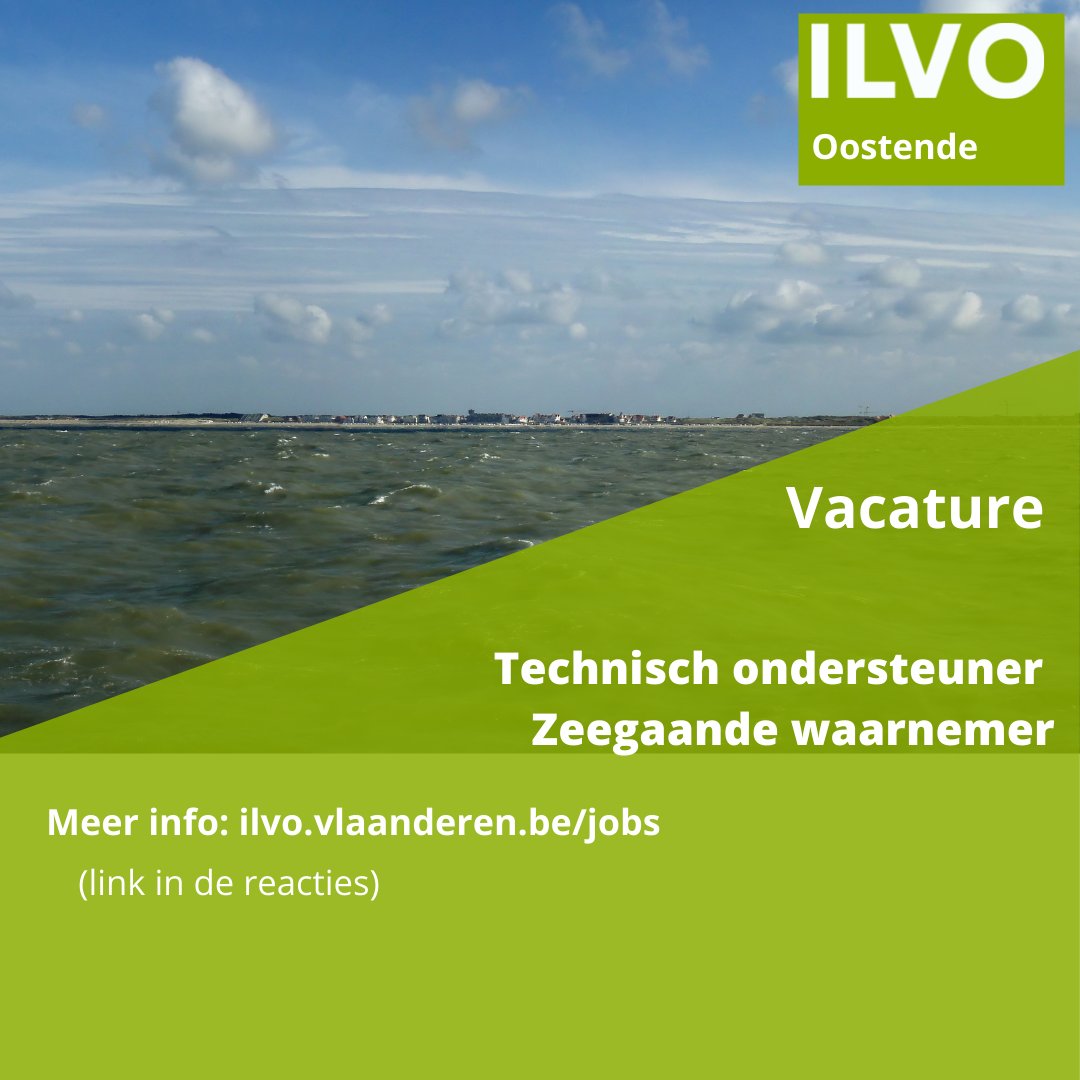 ILVOvlaanderen's tweet photo. #ILVO #Mariene  zoekt een collega met zeebenen!

🐟 Wil je je schouders mee zetten onder een goede samenwerking tussen #visserij en #wetenschap?

🎣 Je steentje bijdragen aan een #duurzaam visserijbeleid?

Surf dan snel naar de ILVO website en ontdek deze #vacature https://t.co/8RJwXsntAe