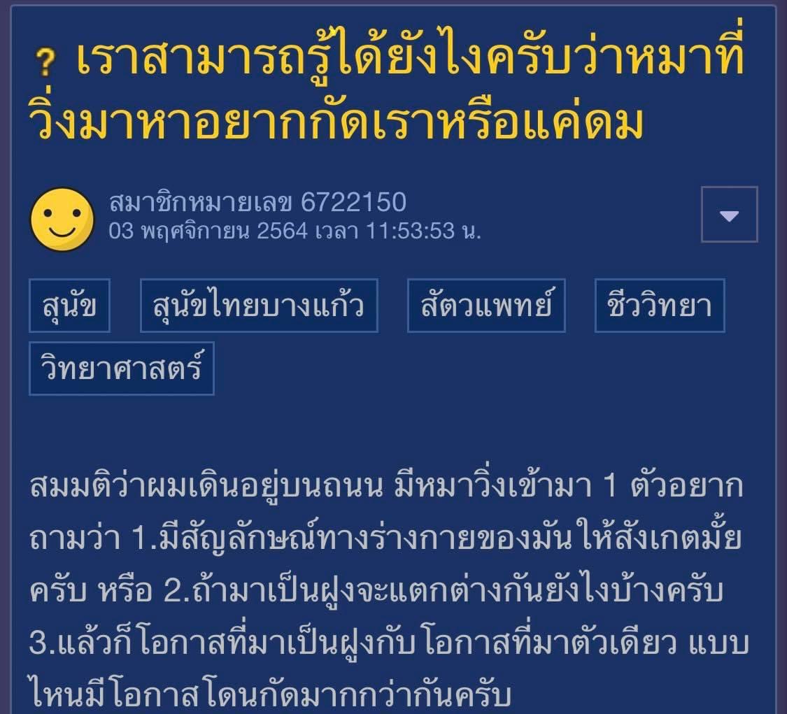 กุเข้าใจเจ้าของกระทู้มากกก5555555555555