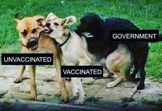 Lauren G 🇺🇸 tweet media