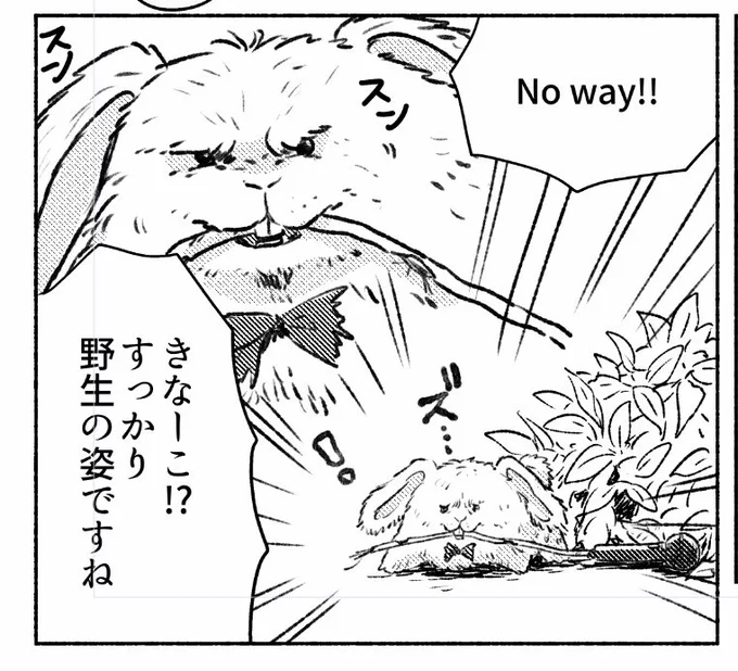 なんなんだ 