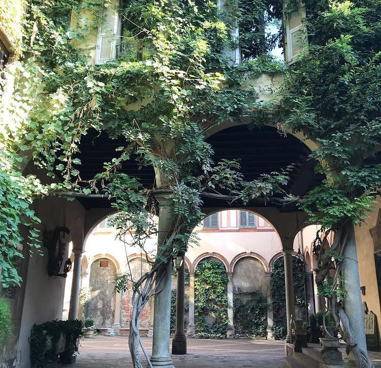 Alla scoperta della #VignadiLeonardo, uno dei luoghi più affascinanti ed insospettabili del centro città, un'oasi di pace racchiusa tra l'arte della #CasadegliAtellani e la natura rigogliosa del suo giardino nascosto.😍
---
bit.ly/3jChKRF
📷: guardadovethoportato