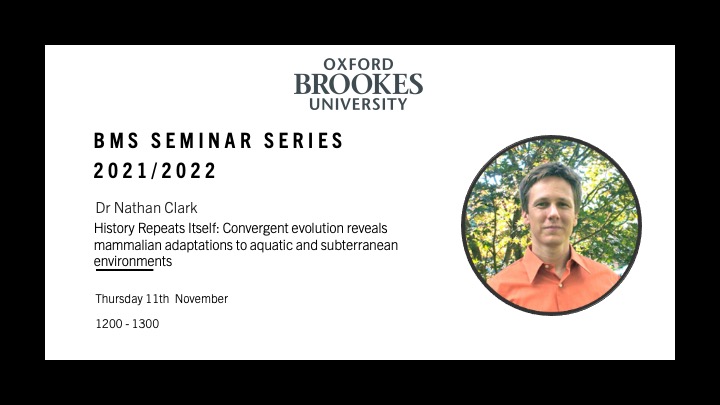 OBU_BMSSeries's tweet photo. Join us this Thursday, November 11th, at 1200 GMT to hear from @NathanClark111. Please drop us a message for access to the zoom link. https://t.co/4dcll40kSP
