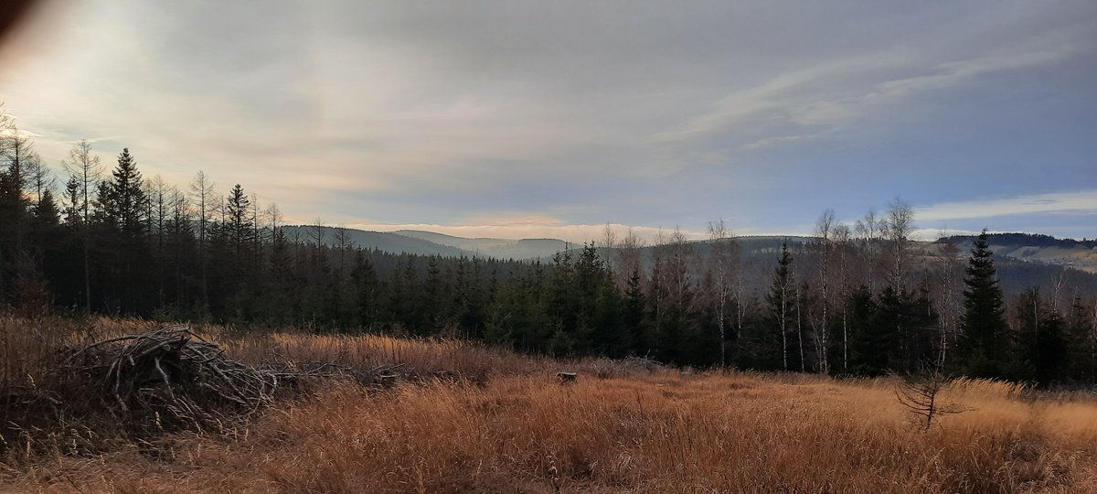 drzwinsch's tweet photo. Jetzt ist die Inzidenz höher als der Kahleberg. Wir haben uns hier schon immer einen Tausender gewünscht.
#Erzgebirge #Kahleberg #Sachsen #SOE #ochnee https://t.co/0iFYwnlnKS