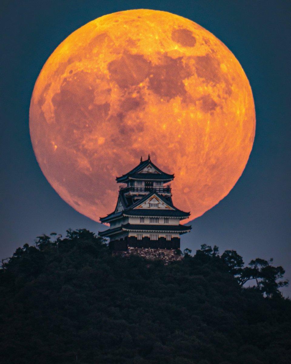 岐阜城が月に一度見せる絶景。