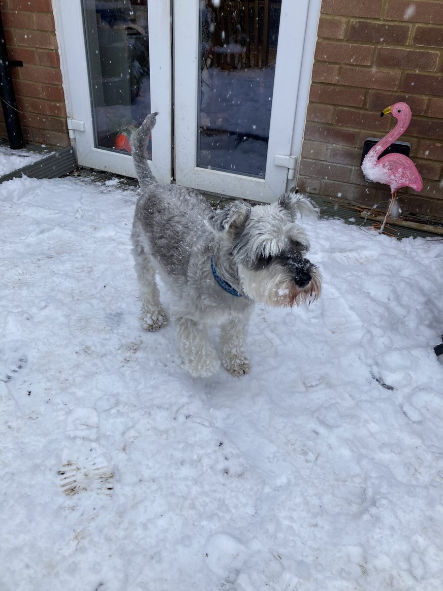 paintbug3's tweet image. Everytime I have to say goodbye to my best friend it gets harder