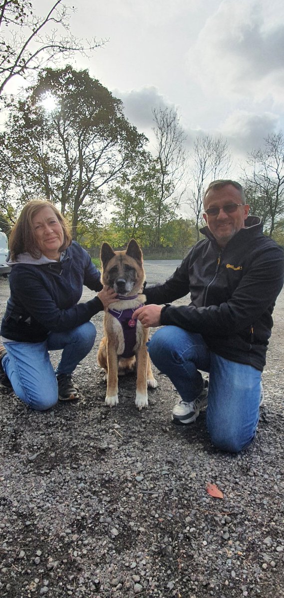 Our oldie girl Diora left for her forever home yesterday.
Congratulations David and Hazel on your beautiful new family member