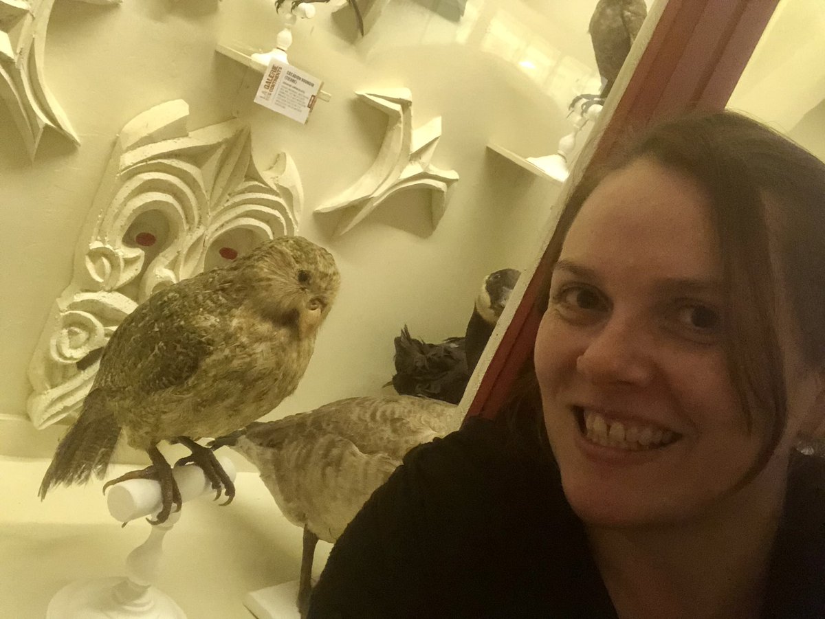 jbroszniowski's tweet photo. @MuseomixNdie @TinBirdMMX_ @TheTeaCompanyMx @LeStratoskope @CerfsVolantsMMX @JBCyrille Le kakado 🦜 https://t.co/dqnTHKD4Hg
