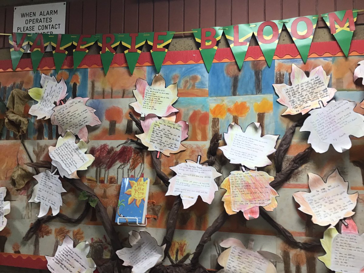 Halley Year 3 tweet media