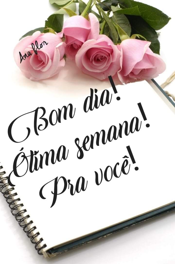 Marly D. M. Quinta🙏❤🥾 님의 트위터: Marly D. M. Quinta🙏❤🥾 님의 트위터: