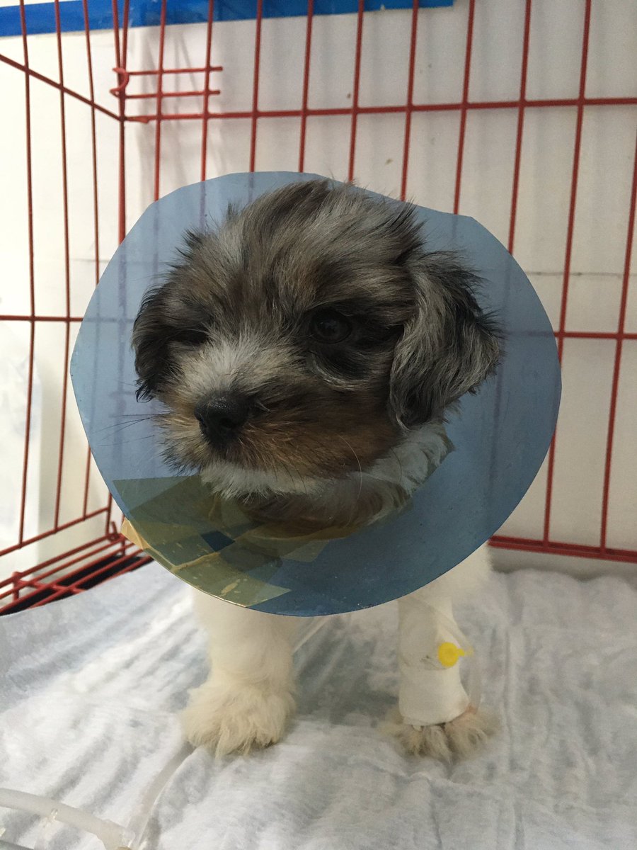 You're too young to die skye. Thankyou for loving me even atleast for a short period of time. I am so grateful to have you. Kuya will see you in the afterlife. Just wait for me please. I love you kaykay.