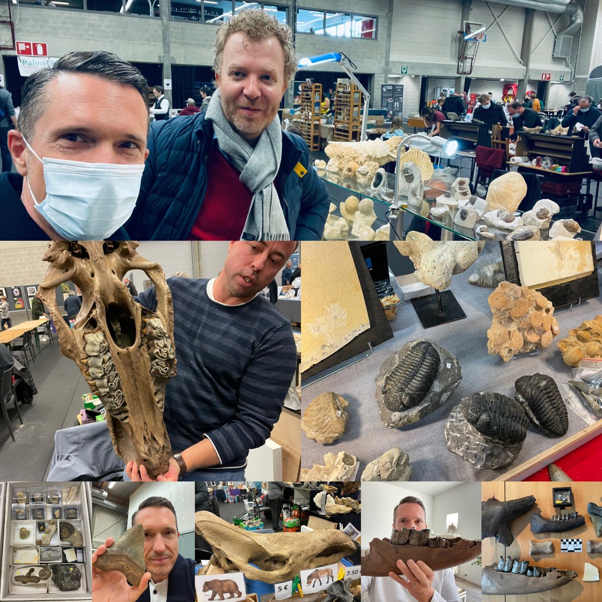 JDeMeulemeester's tweet photo. Op fossielenjacht met @PieterBellen. 
Wat een avontuur! 🤠

En we keerden naar huis terug met een mooie vangst van de dag. 
#Paleotime #Megafauna #Ijstijd https://t.co/6z0GDwG2Fl