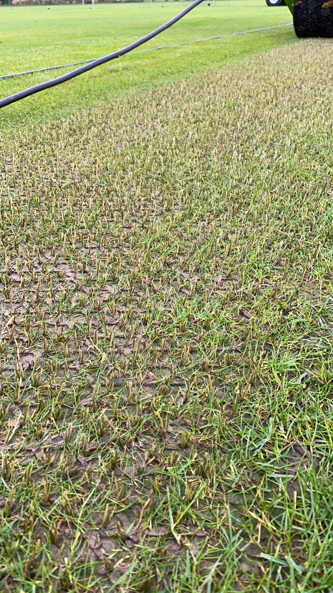 En terwijl we mikken op een oplevering van de indoorhal rond 1 december, wordt inmiddels in Voorburg de eerste hybride graspitch door @SISpitches in NL gerealiseerd. #SISgrass #weblijvenontwikkelen #besteenleukcluppie