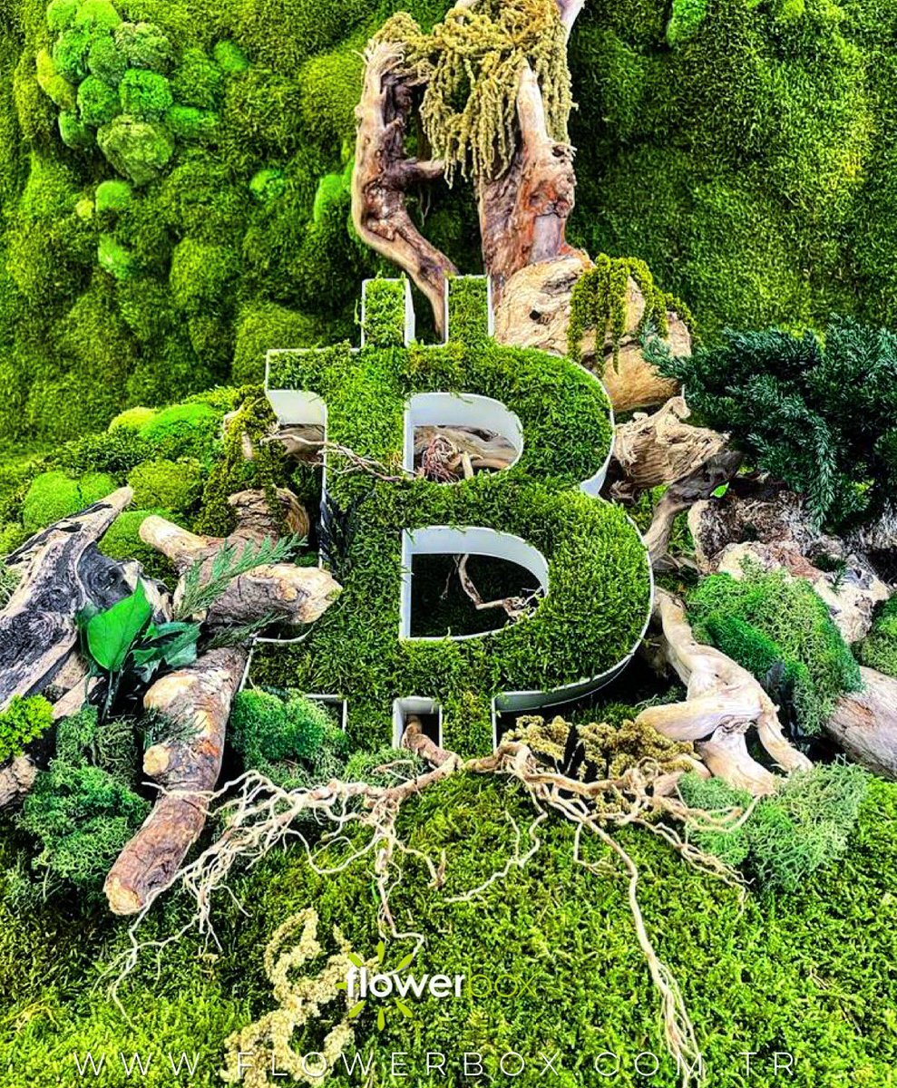 FlowerboxTR's tweet photo. Nature &amp; Art &amp; Tecnologhy!
All in Flowerbox 🌱 #NFT #design https://t.co/z2dp4aErUC