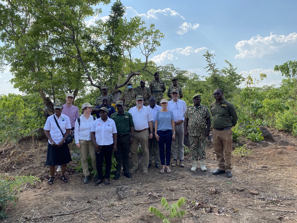 KfW_Zambia's tweet photo. 🇩🇪 Chancellor’s Envoy for Africa, Günter Nooke, visiting 🇿🇲Kafue Ecosystem of the Kavango-Zambezi Transfrontier #Conservation Area, the 💪🏽 terrestrial reserve in the 🌍. 🇦🇴🇧🇼🇳🇦🇿🇲🇿🇼 w/ € from 🇩🇪 @KfW_int via @BMZ_Bund.  Empower 🧑🏾‍🌾  &amp; #tourism &amp; #biodiversity🐘🦒 @GermanyinZambia https://t.co/5GEdUByPvx
