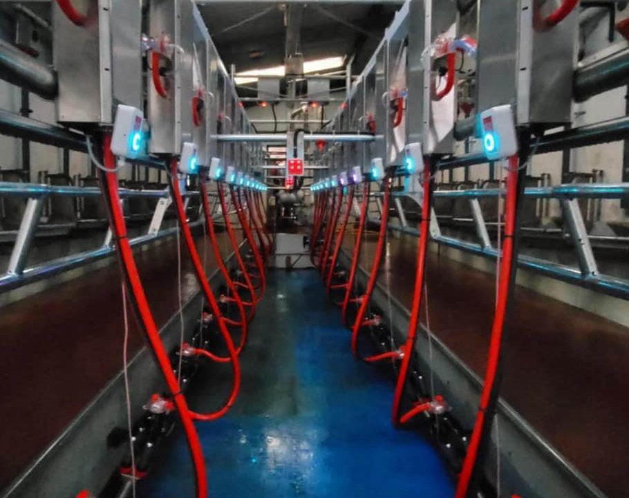 AgrilandIreland's tweet photo. He went from milking the same number of cows in two hours that morning to one hour that evening. #Sponsored

https://t.co/Oj3RcvUcAS https://t.co/IaqsljtW2C