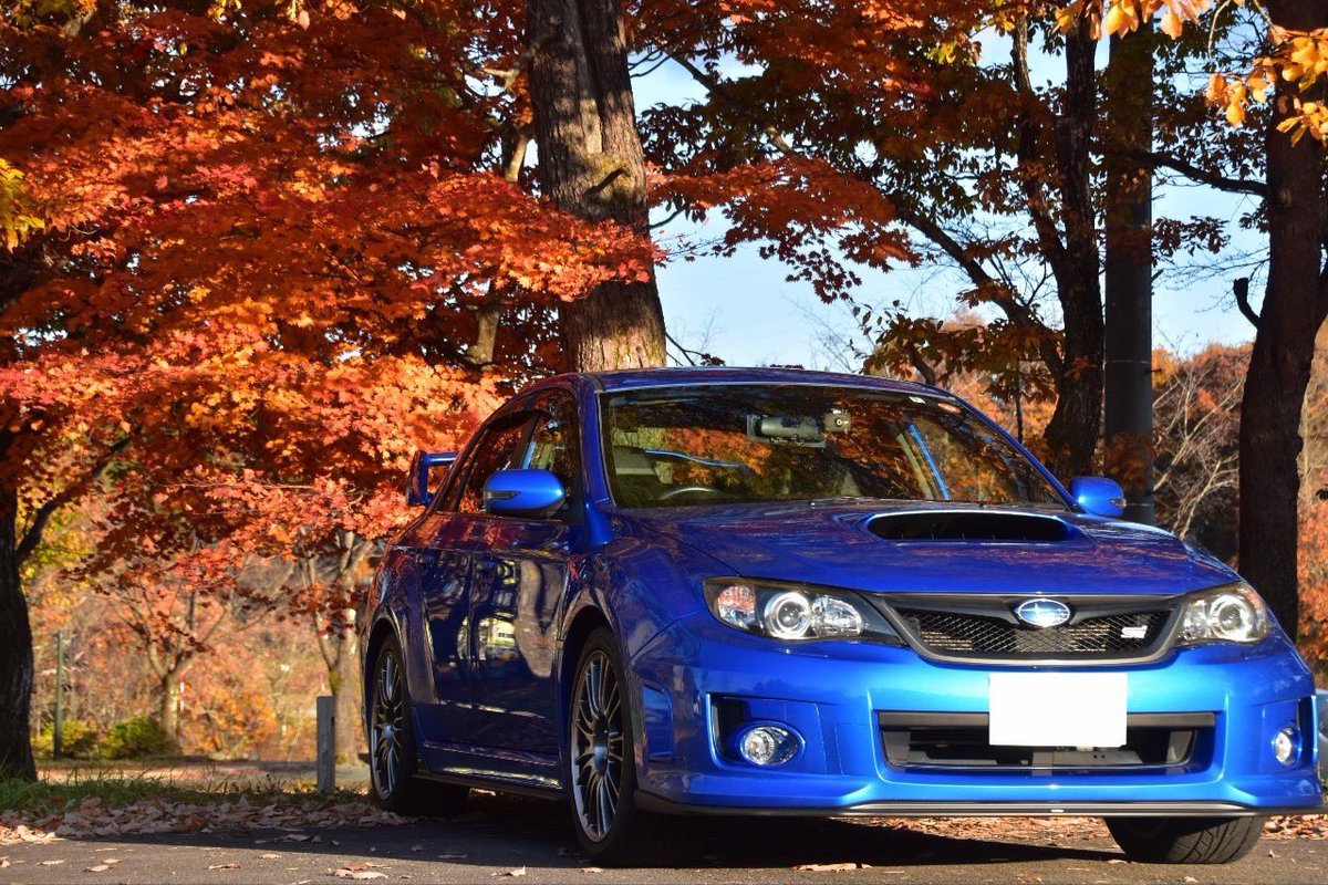 dai40559251's tweet photo. 納車してから１ヶ月が経ちました！
紅葉と一緒に友達に撮ってもらった写真です！
これから車好きの方と繋がっていきたいです！
#愛車の好きな写真
#インプレッサwrxstigvb
#スバル https://t.co/3i7uGfbUoJ