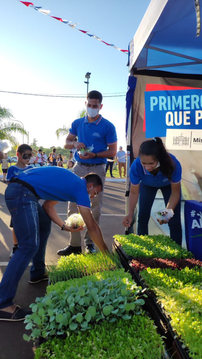 martaferre's tweet photo. Ayer en Garupá acompañamos la Expo “ Garupá emprende” y distribuimos plantines de verduras a los vecinos y vecinas.

Siempre nos impacta la alta demanda de plantines. El misionero y la misionera son más conscientes sobre la importancia de cultivar algo de lo q comemos. https://t.co/5UiYyslDhE