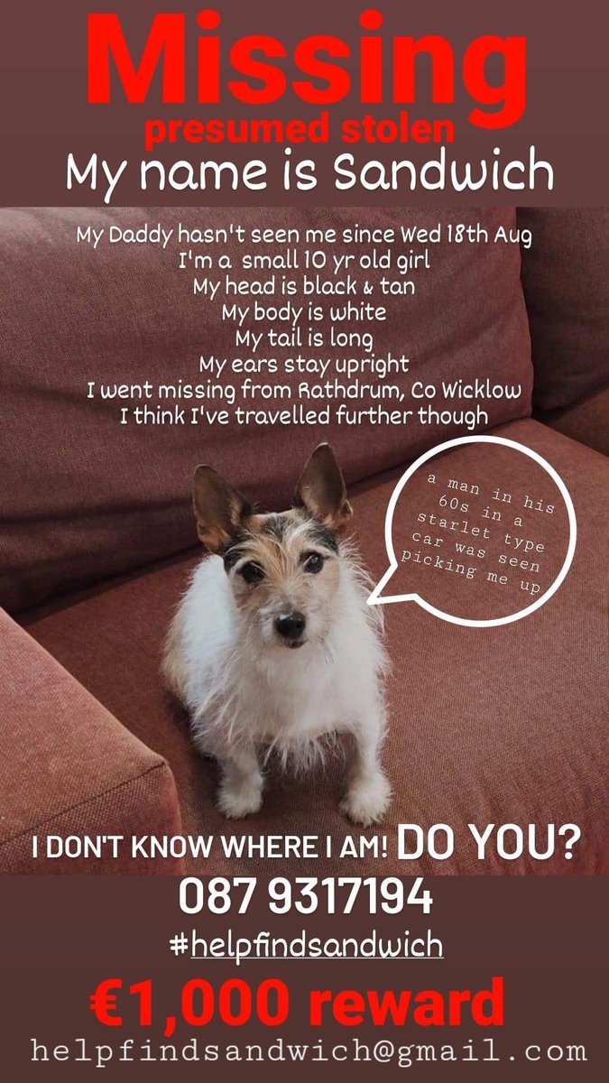 If you can help here or retweet it would be really appreciated - as you can imagine the owners are really distressed- thank you- let’s try unite Sandwich back with his dad. He went missing from Rathdrum in Wicklow.
