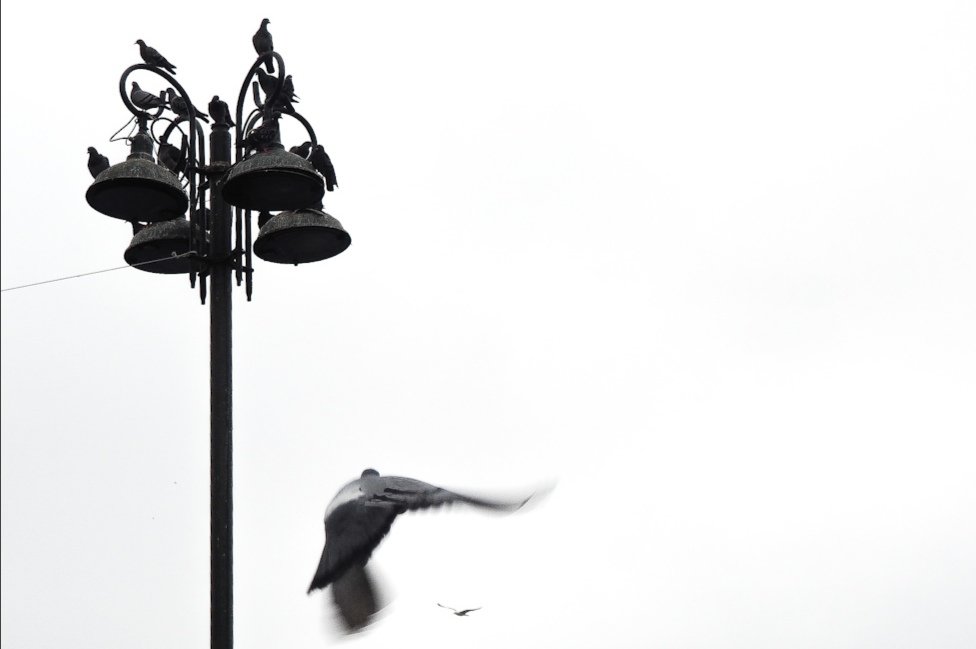 Ortaköy #photooftheday #istanbul #streetphotography