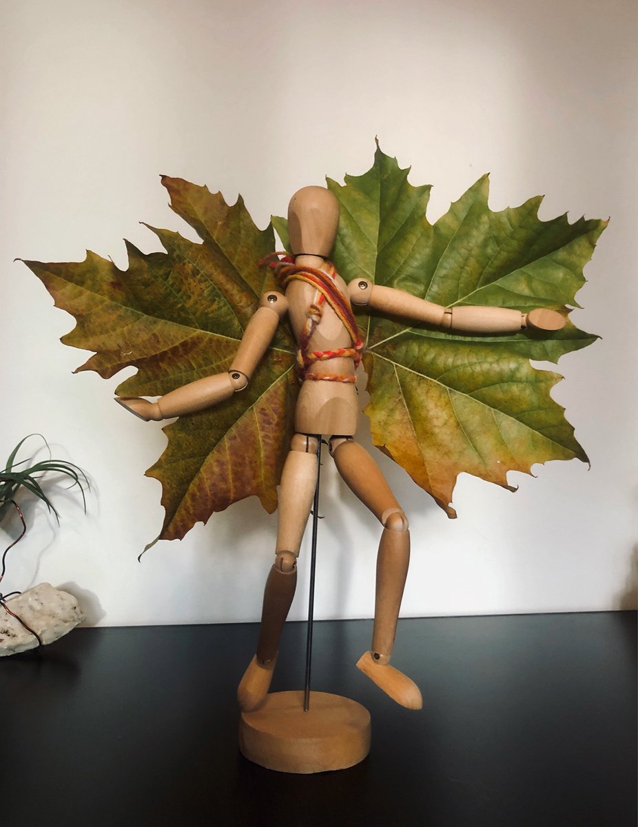 🍁🍁 fall angel 😅 
#autumn #silhouette #wings