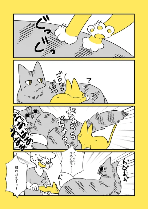 猫と子猫と悲劇 
https://t.co/J4Dr63LLzm 