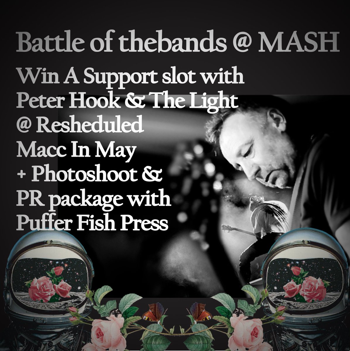 🐡 Puffer Fish Press 🐡 tweet media