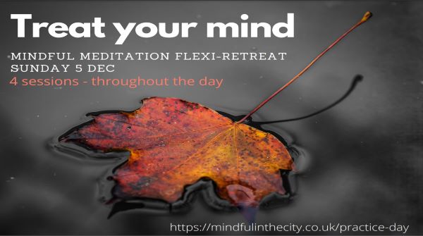 Your antidote to the approaching "frantic" season. One day online flexi-retreat with Bob Chase - Dec 5 mindfulinthecity.co.uk/practice-day