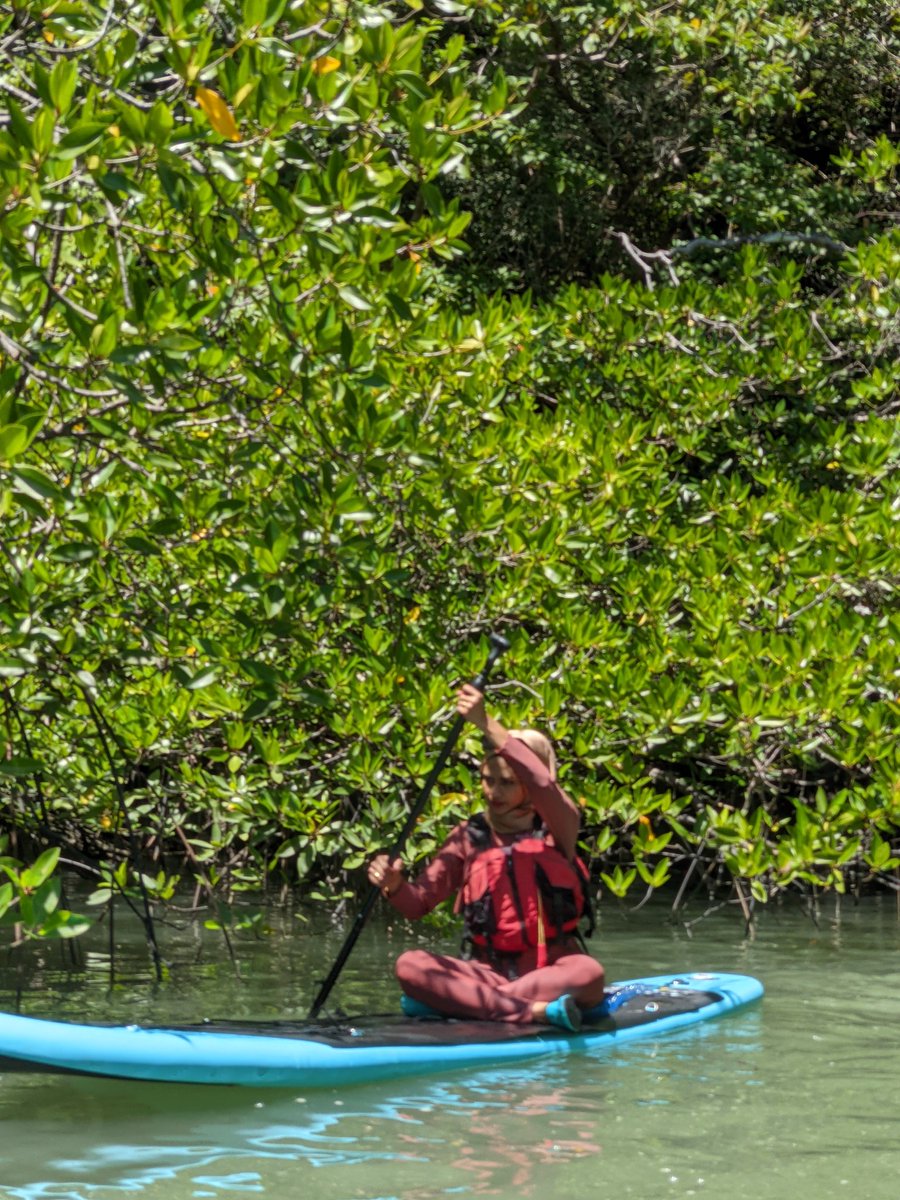 h2ocean_trv's tweet photo. Enjoy the day with your friends on paddle board #paddleboard #SUPing #SUPLANGKAWI #tanjungrhulangkawi https://t.co/1KqaBf1bxm