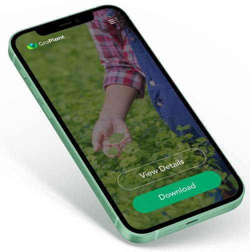 rssagriculture's tweet photo. Smart Fertilizer Software, SupPlant Launch App for Improving #water and Fertilization Efficiency
https://t.co/V5y9X3n25j https://t.co/e9X4Bm6JWM