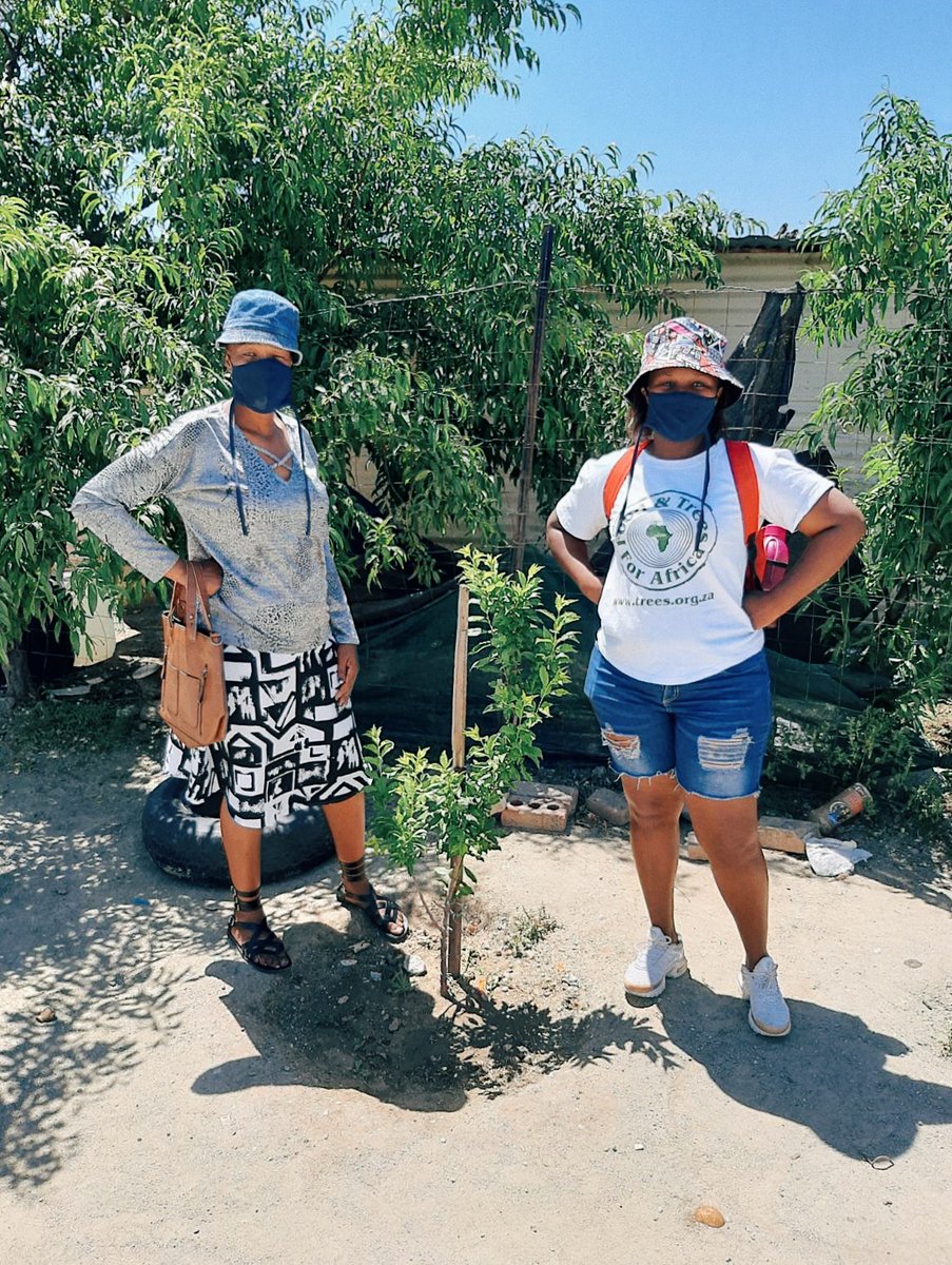 ftfa's tweet photo. The @FTFA team were in Rustenburg recently to conduct the third and final evaluation of trees planted with @FortressReit for a #TreesForHomes project.
The fruit trees are looking well-cared-for. We're expecting a high survival rate.
#FruitTrees #FoodForest #FoodSecurity https://t.co/kDOOUe232p