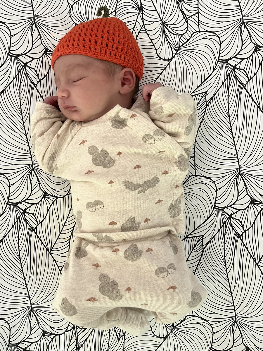 Amy Reynolds tweet media