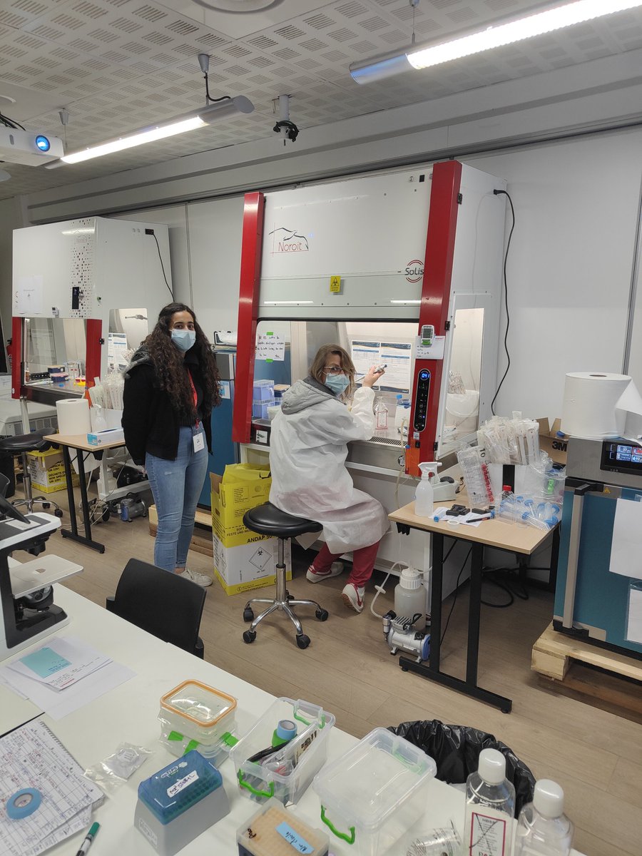 Dufourt34's tweet image. Night experiment of @MuriauxD under the supervision of her PhD student @RayaneDibsy #Mifobio #cultureroom #pipettingPI