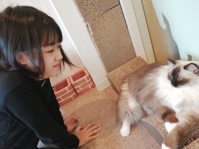 Twitterのコスプレ画像30