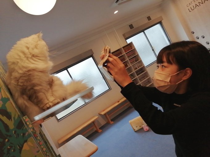 Twitterのコスプレ画像32