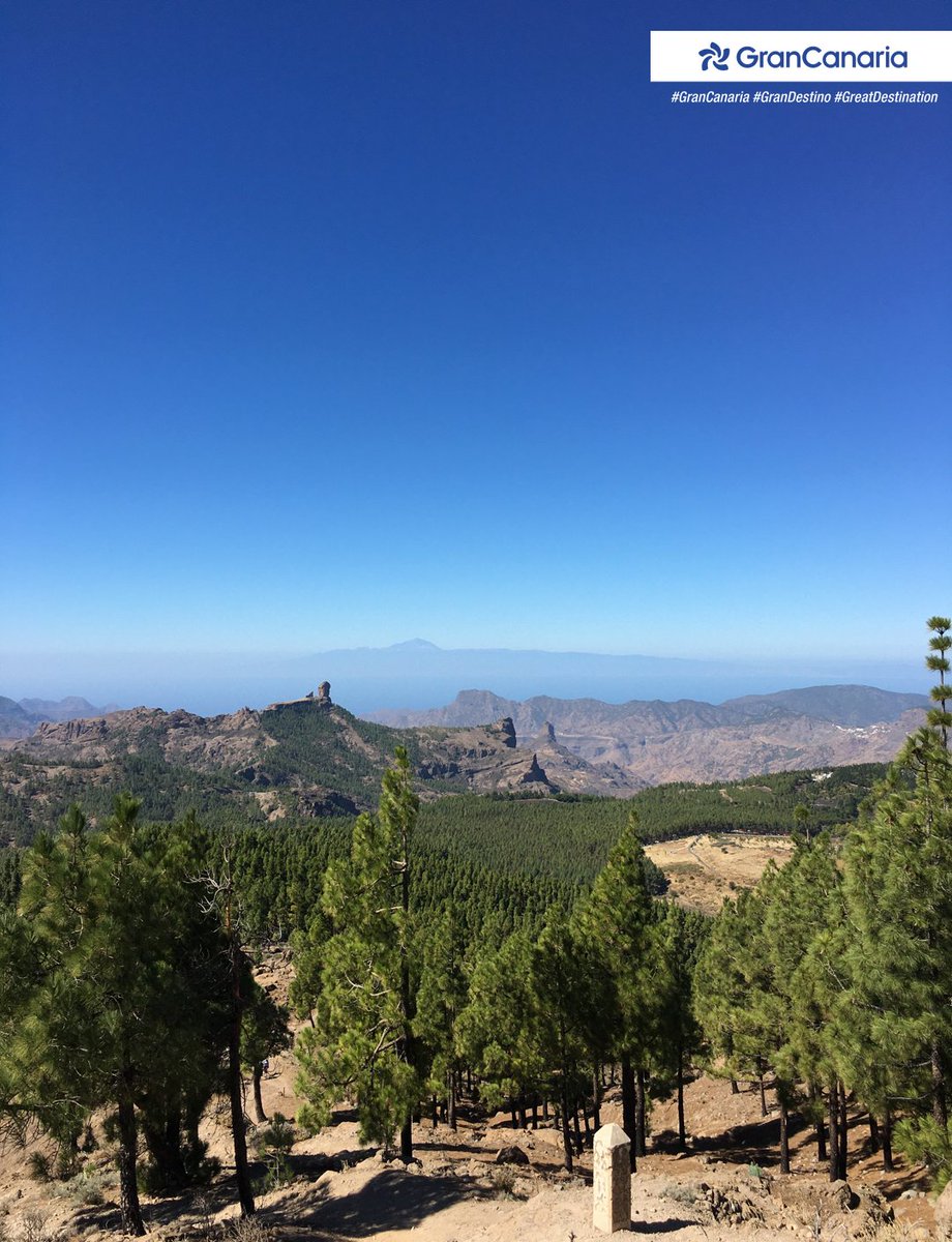 gctourism's tweet photo. The landscapes of the Cumbre de Gran Canaria will encourage you to get lost for hours so that you can recharge your batteries. 📍Pico de los Pozos de Las Nieves Viewpoint. Happy week from #GranCanaria! #SoMuchToLiveFor https://t.co/w7sccfmGLv