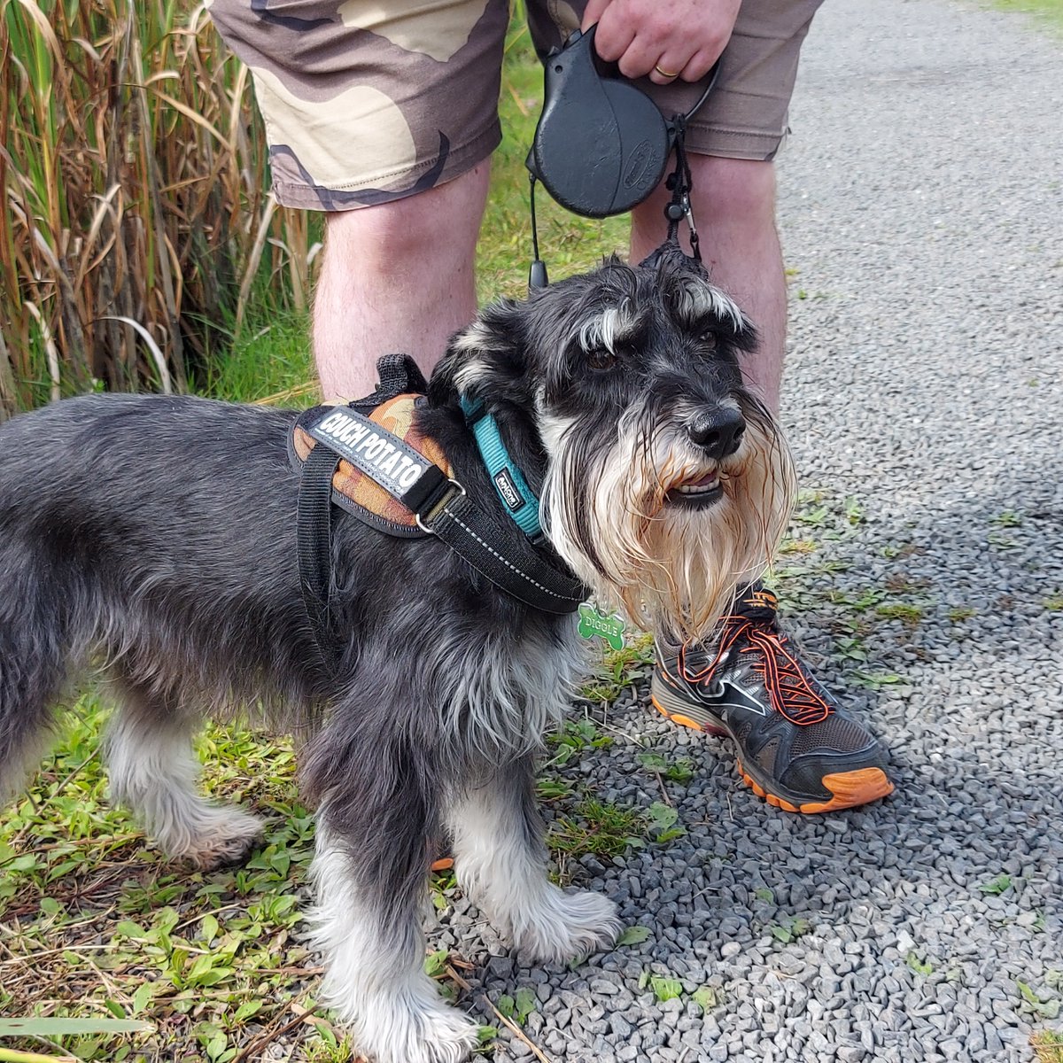 heritageparkwex's tweet photo. Take a visit to our #DogFriendy park! We are open 7 days in Wexford💜💛 #dogs #DogsAreFamily
https://t.co/2gfXCiVSBS 🐾 https://t.co/LhL3svBH68