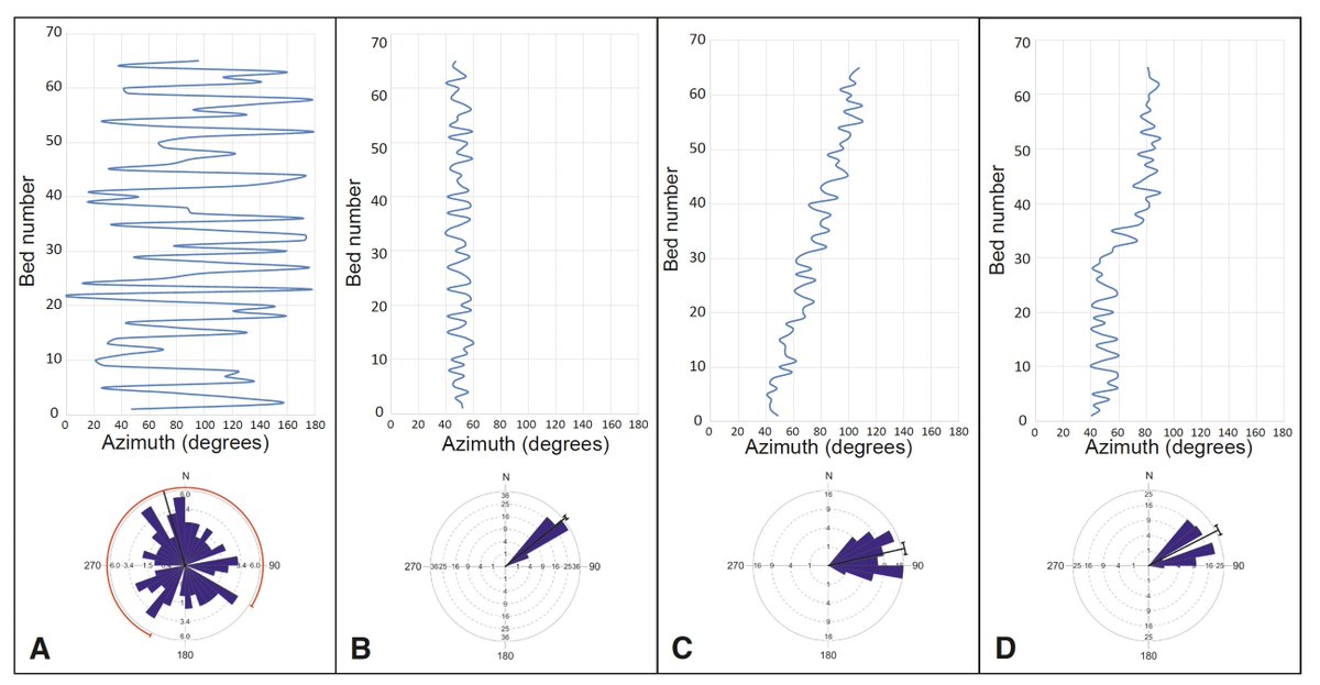 Prof. Domenico Chiarella (@nocode_dc) on Twitter photo 🚨New Paper🚨 We propose a complementary graphic method to represent paleocurrent data that can help to detect syn-depositional basin evolution and changes in the dominant hydrodynamic process. <a href="/CSI_RHUL/">Clastic Sedimentology Investigation</a> 1/3 #openaccess
doi.org/10.1130/GES024… 🚨New Paper🚨 We propose a complementary graphic method to represent paleocurrent data that can help to detect syn-depositional basin evolution and changes in the dominant hydrodynamic process. <a href="/CSI_RHUL/">Clastic Sedimentology Investigation</a> 1/3 #openaccess
doi.org/10.1130/GES024…