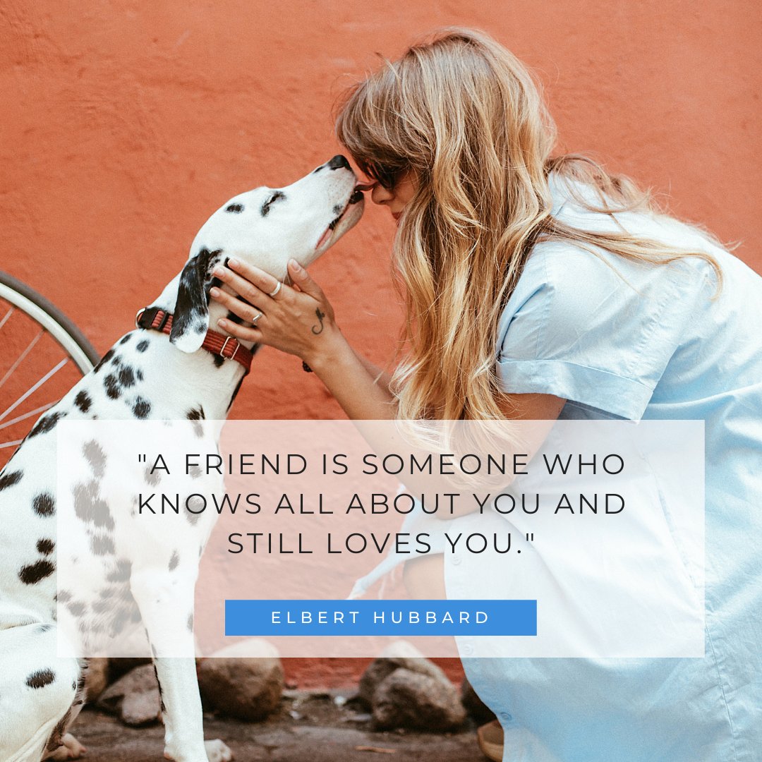 ScratchAndPatch's tweet photo. The best friends come in the form of a furry companion 🐶  🐱 

#scratchandpatchfamily #scratchandpatch #petinsurance #petcare #cat #dog https://t.co/Gg8GMX60lx