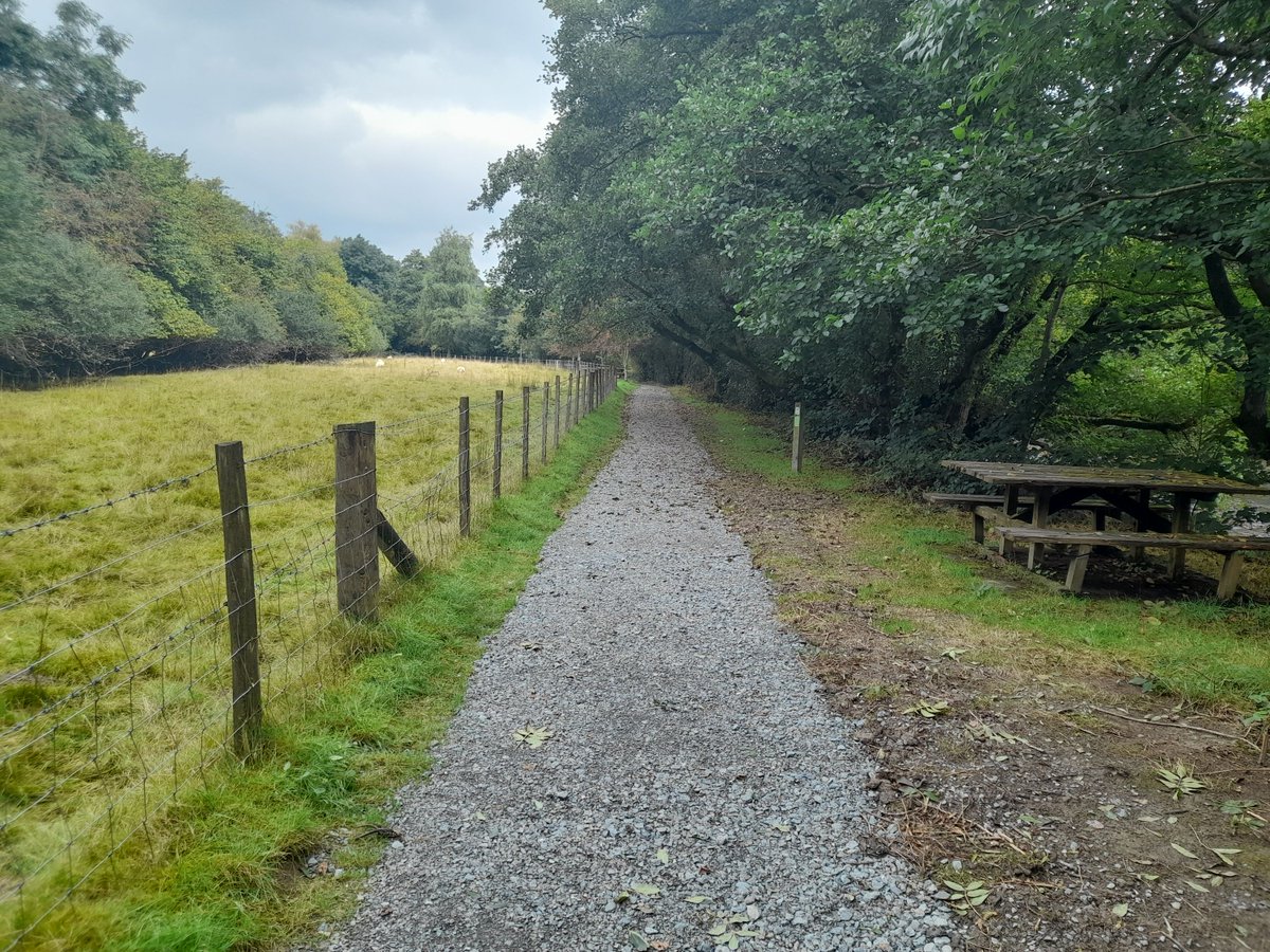 Latest news: Path improvements to Riverside Wildlife Walk

A river side path in mid Powys has been improved thanks to funding from Welsh Government, the county council has said.

Read more ➡️ en.powys.gov.uk/article/11892/…