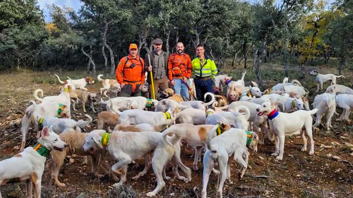 Santiago Abascal participa en una montería acompañando a los perros de caza bit.ly/3BPhIMJ | decaza.net