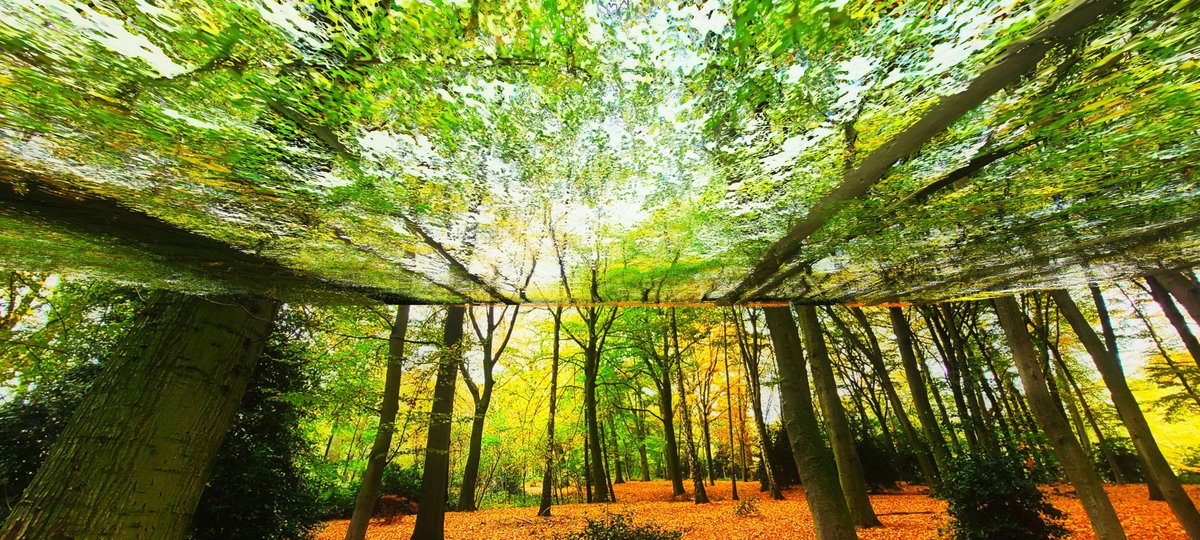 peeanopijloo's tweet photo. 'Autumn Extrusion' #digitalart #abstractart #chaosabstract #scifiart #nftphotography #NFTartist #nftcollector #nature #landscapephotography #photography #otherworld #newWorld #IAmOther #nft #photographer #newmediaart #fantasy #cyberpunk #scifi #nftArt #generativeart #glitchlab π½ https://t.co/2t49ARcm0K