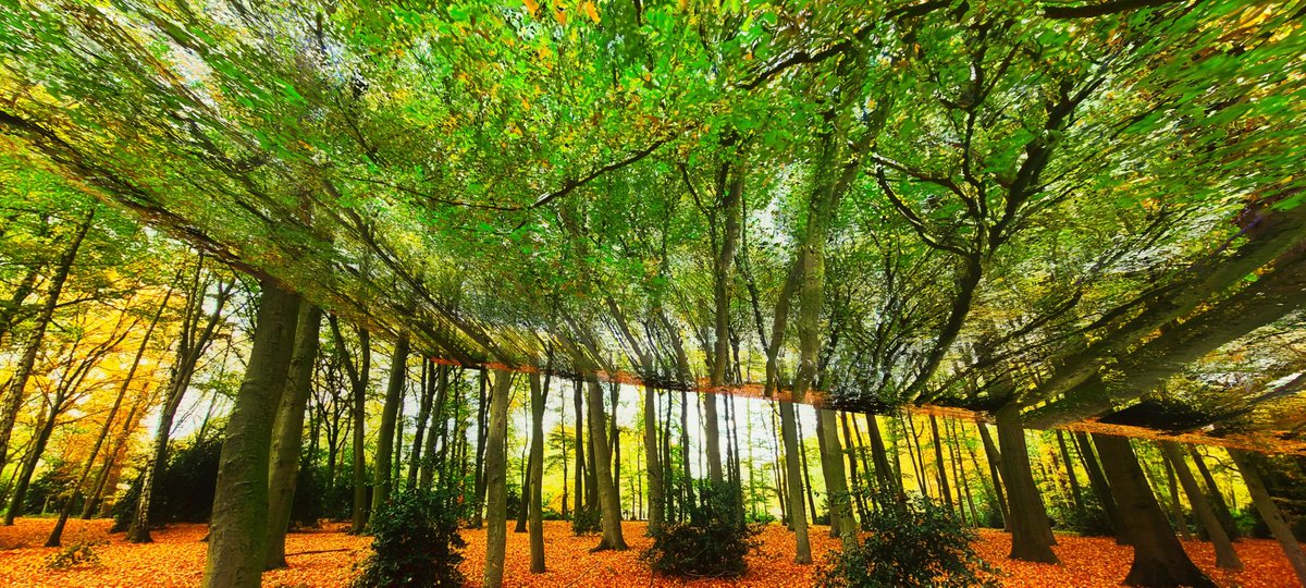 peeanopijloo's tweet photo. 'Autumn Extrusion' #digitalart #abstractart #chaosabstract #scifiart #nftphotography #NFTartist #nftcollector #nature #landscapephotography #photography #otherworld #newWorld #IAmOther #nft #photographer #newmediaart #fantasy #cyberpunk #scifi #nftArt #generativeart #glitchlab π½ https://t.co/2t49ARcm0K