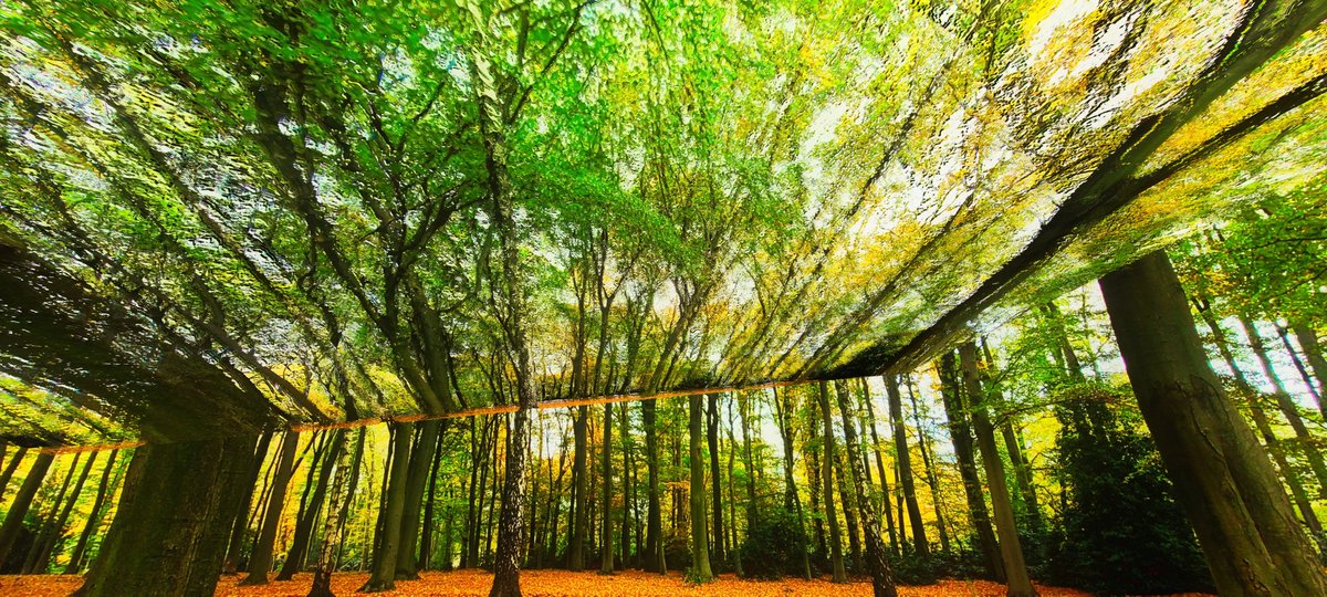 peeanopijloo's tweet photo. 'Autumn Extrusion' #digitalart #abstractart #chaosabstract #scifiart #nftphotography #NFTartist #nftcollector #nature #landscapephotography #photography #otherworld #newWorld #IAmOther #nft #photographer #newmediaart #fantasy #cyberpunk #scifi #nftArt #generativeart #glitchlab π½ https://t.co/2t49ARcm0K